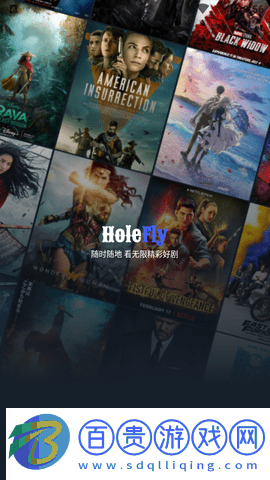 HoleFly官方版-HoleFly2023最新版下載v6.0.19