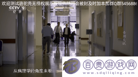 駱駝直播2024最新版