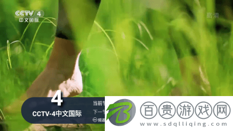 大象TV電視盒子版