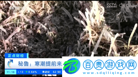 小生TV直播vip會員免費版v5.2.0
