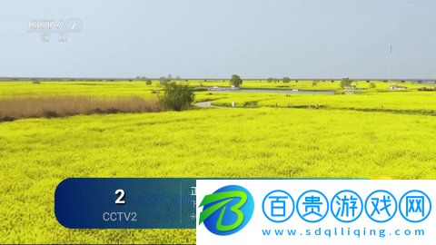 可樂TV官方版