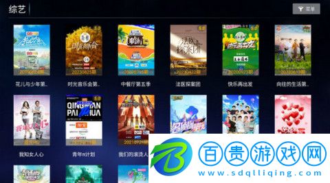 麒麟影院TV版