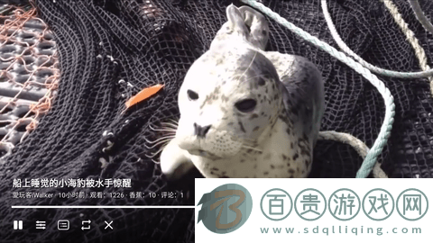 ACAC視頻a站免費版-ACAC彈幕視頻網(wǎng)電視版下載v1.0.2