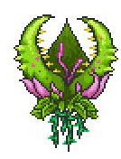 泰拉瑞亞吸血飛刀怎么獲得